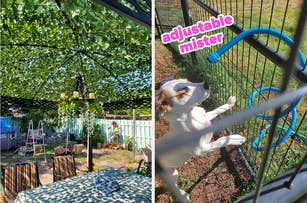 Backyard setup with shaded seating area and hanging lights on the left; dog playing with an adjustable mister attached to a fence on the right