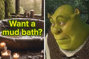 On the left, a serene mud bath setup with candles. On the right, Shrek looking thoughtful. Text reads: "Want a mud bath?"