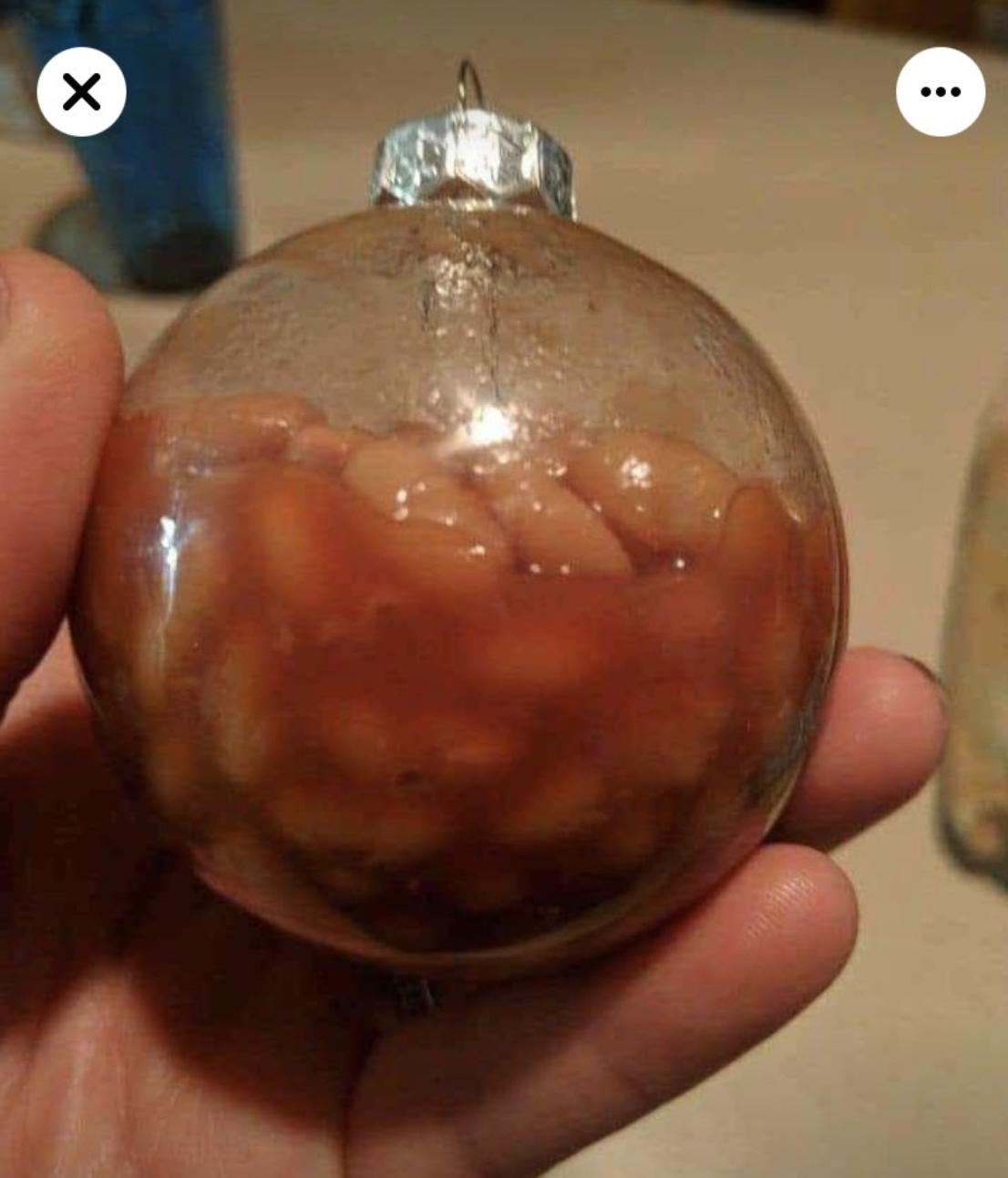 Clear Christmas ornament filled with baked beans held by a hand