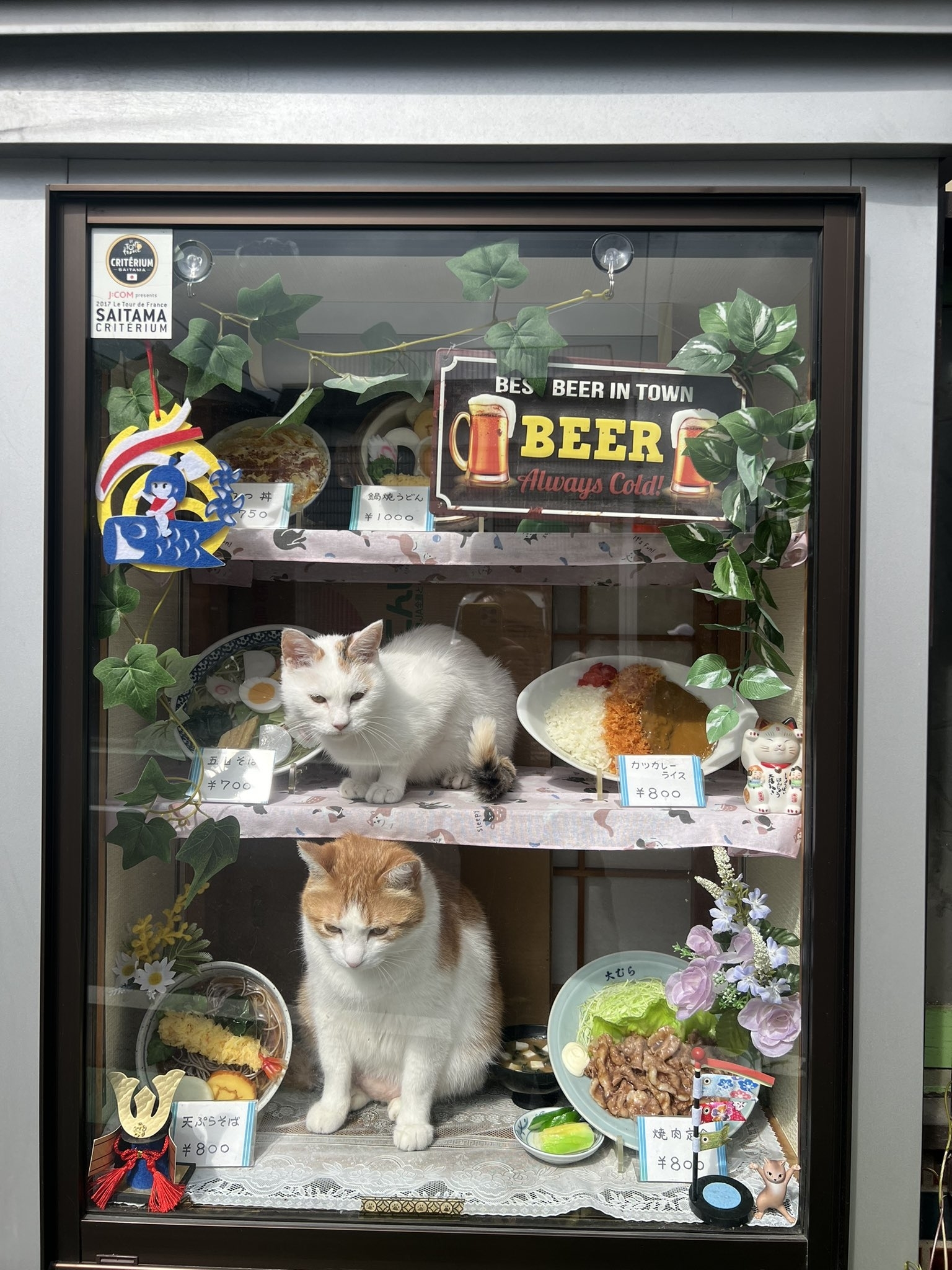 コンちゃん（上段）とペタ君（下段） / そば処大むらさんのXより