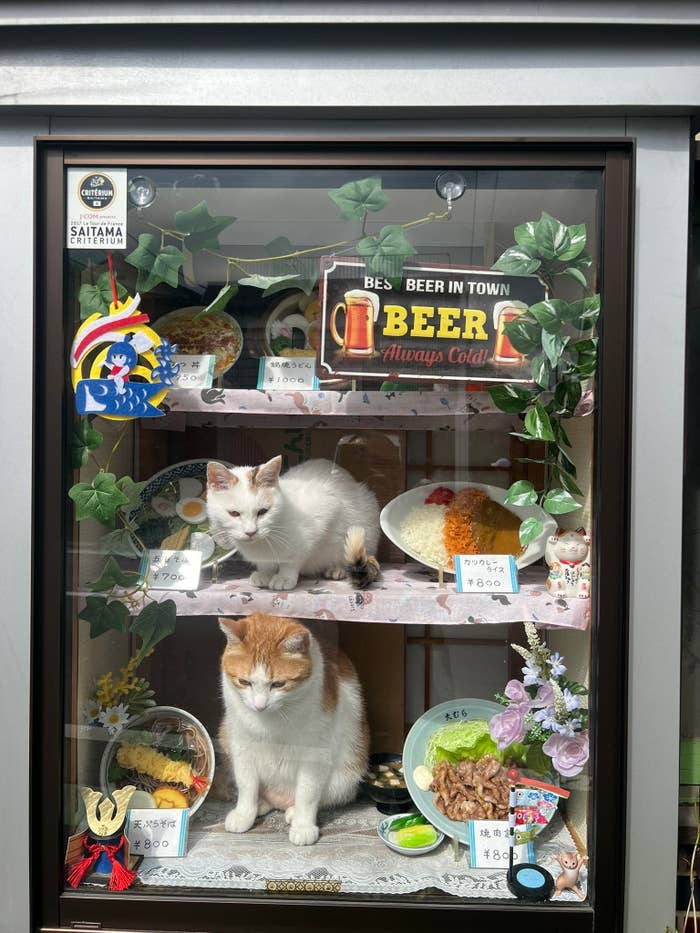 コンちゃん（上段）とペタ君（下段） / そば処大むらさんのXより