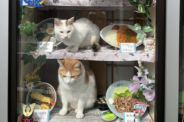 展示ケースに入る2匹 / そば処大むらさんのXより