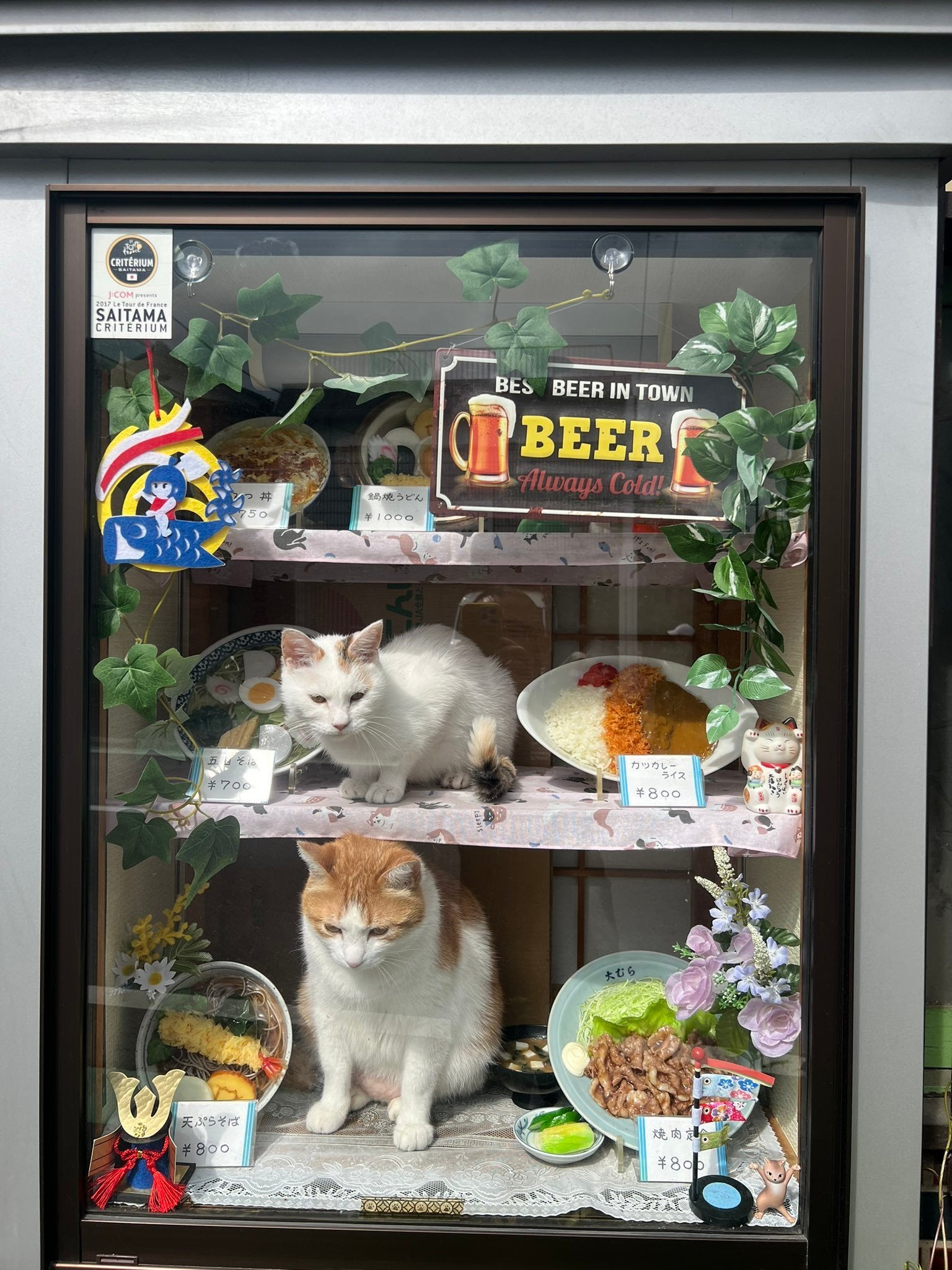 リアル招き猫」食品サンプルと一緒に並ぶ看板猫たちがかわいいと話題に