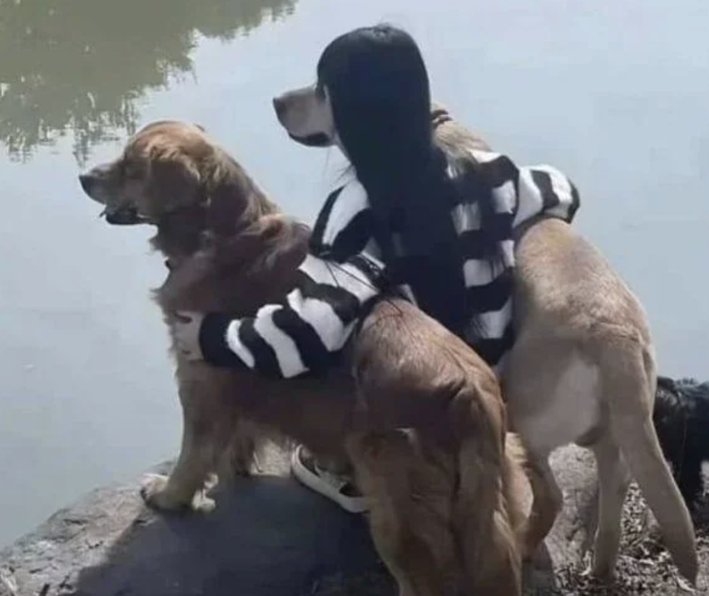 Person with long dark hair wearing a striped sweater, sitting by water, hugging two large dogs while looking at the view