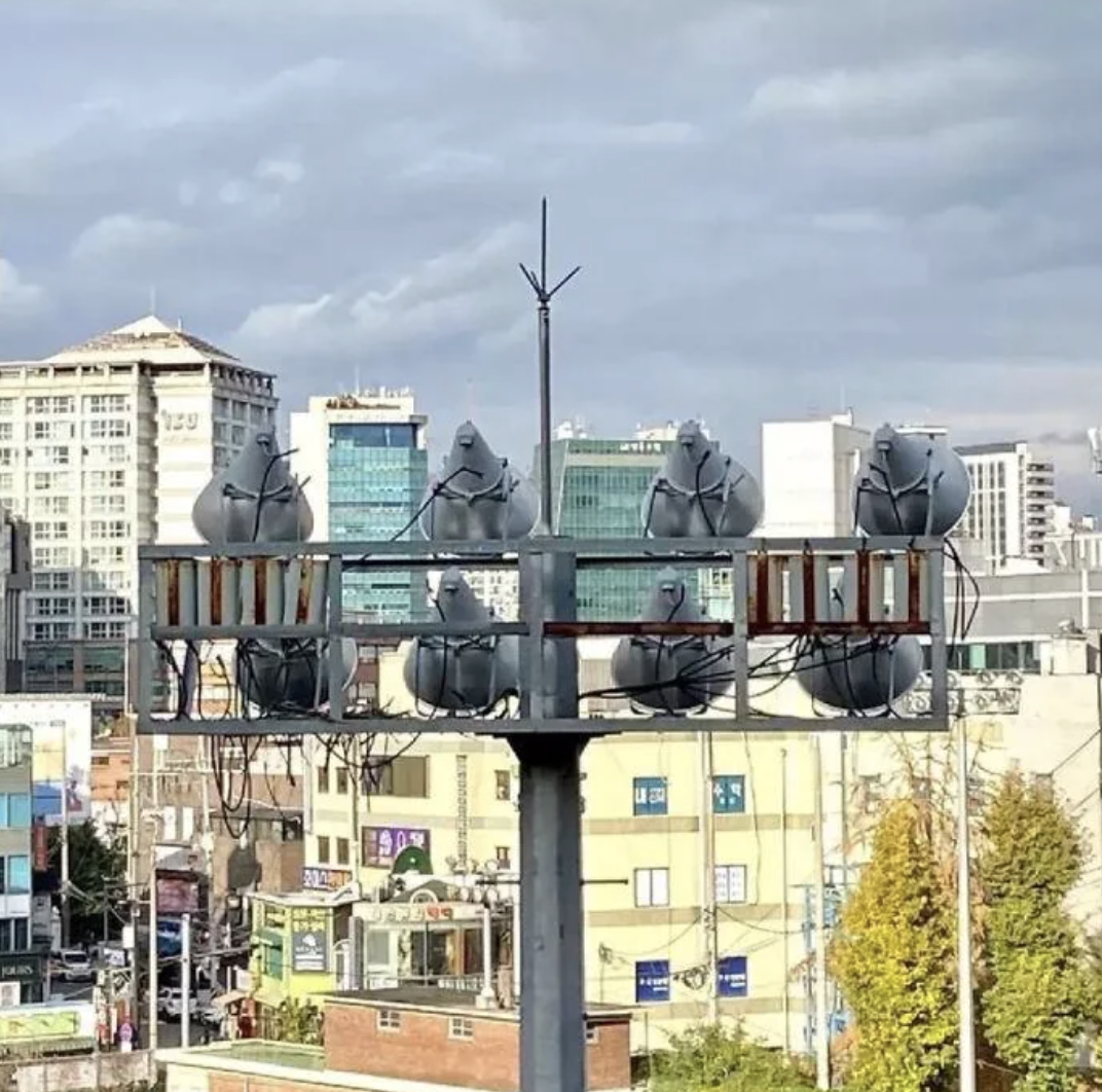 A cityscape with bird statues sitting on a streetlight. In the background are buildings and a cloudy sky