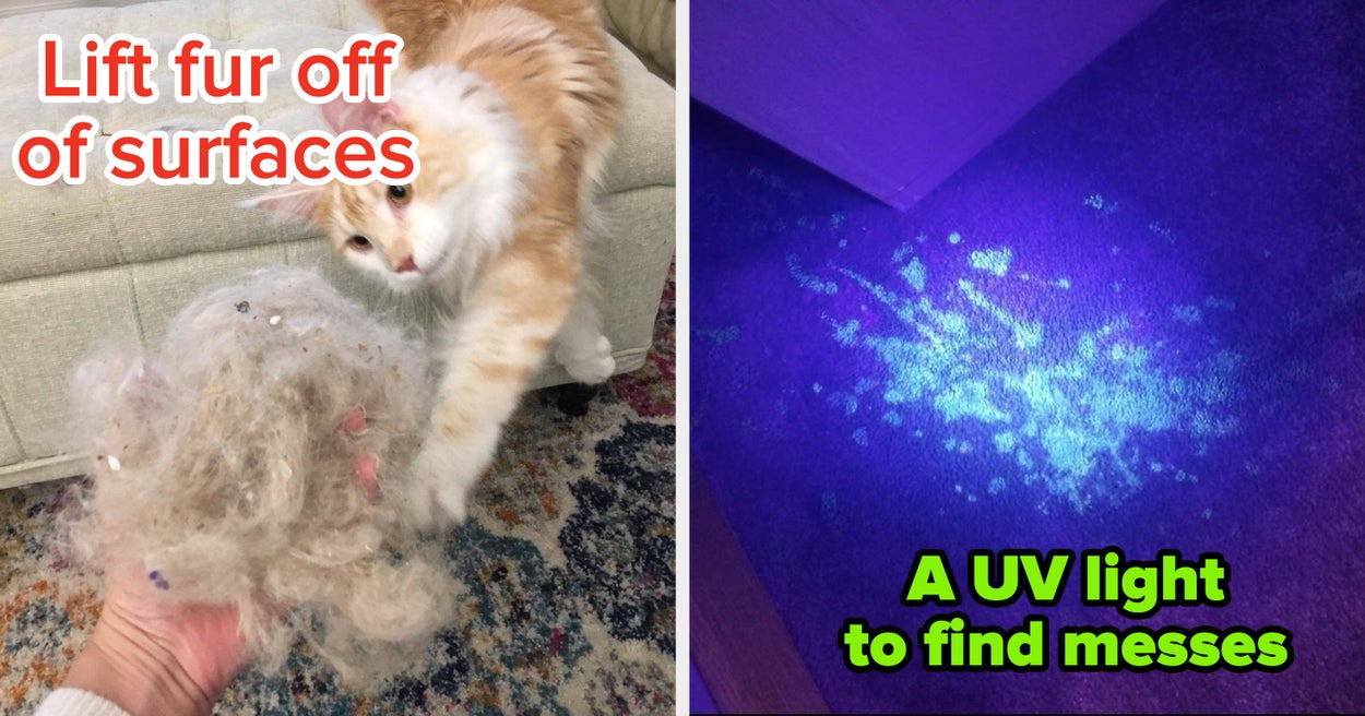 27 Pet Products To Deal With Smells And Messes