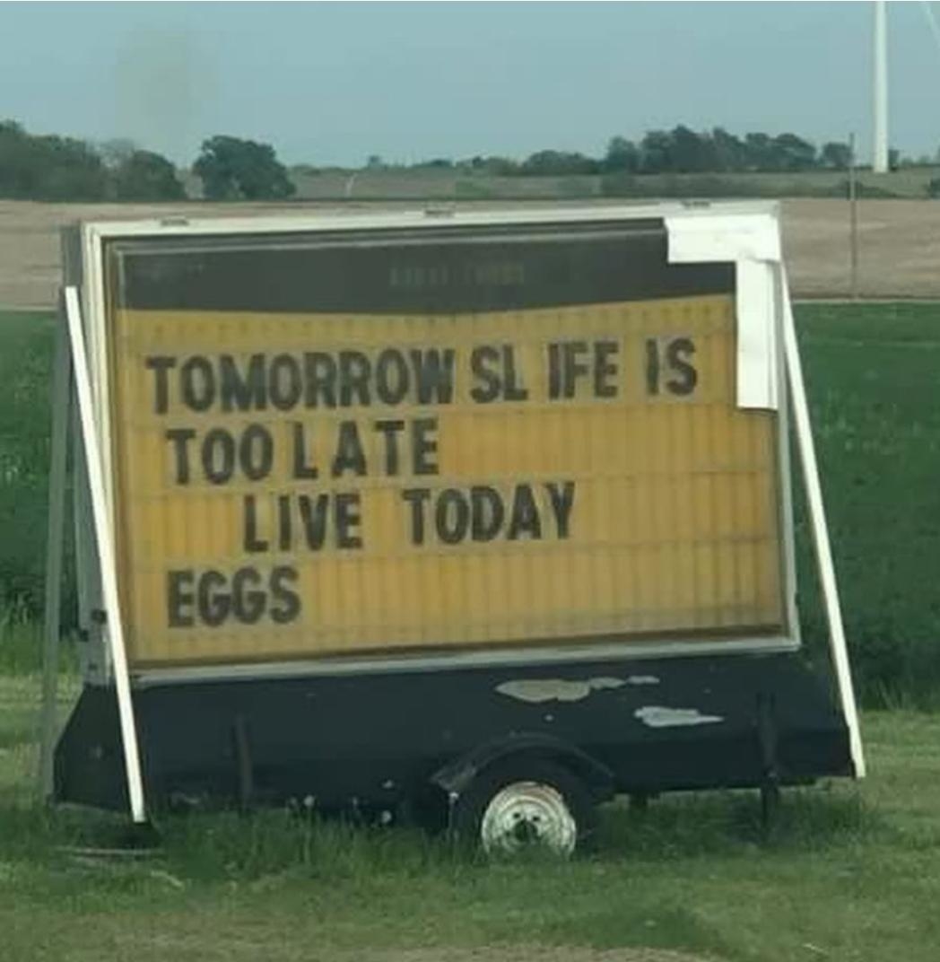 A mixed message sign reads: "TOMORROW LIFE IS TOO LATE LIVE TODAY EGGS."