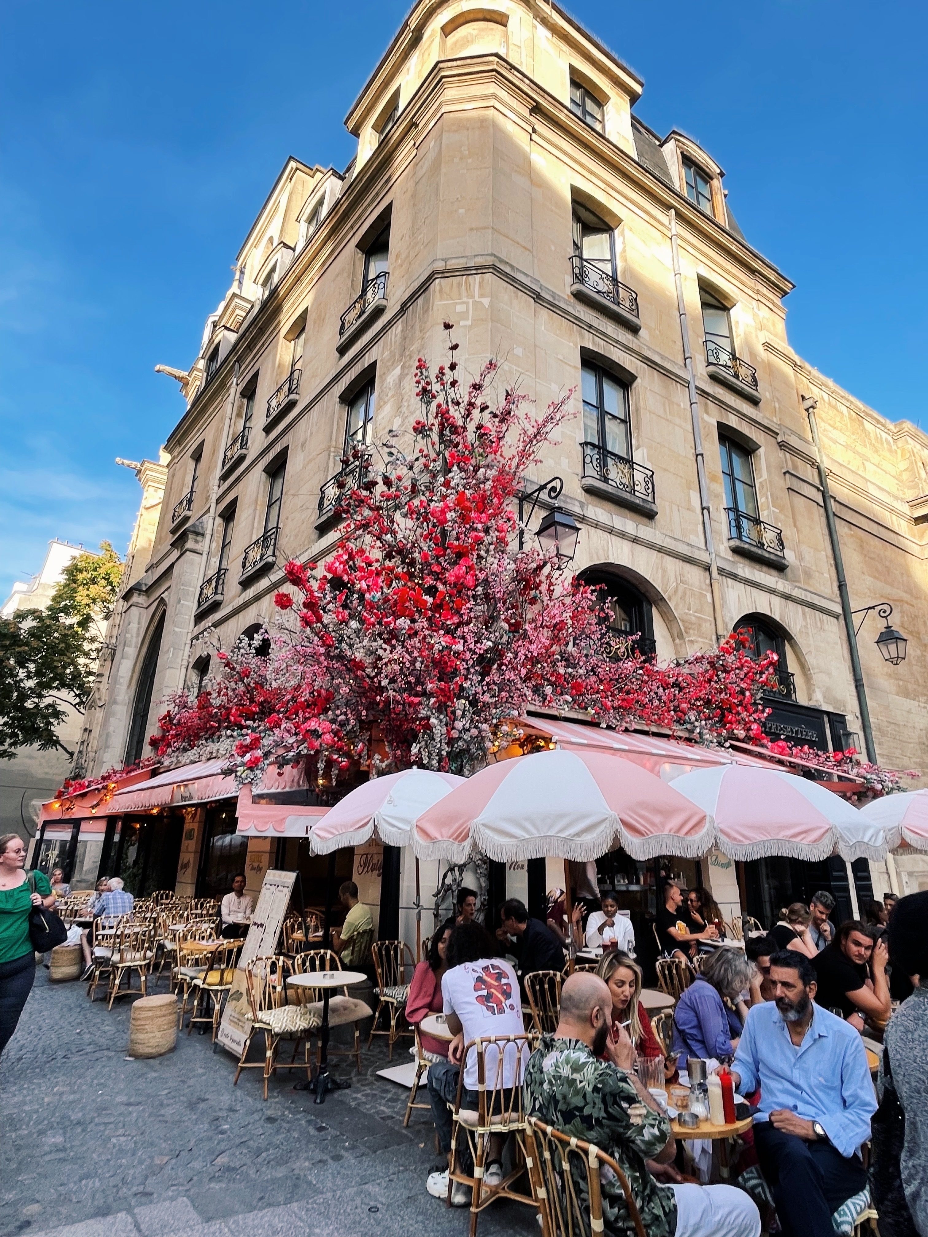 People dining at an outdoor cafe under pink and red flowering trees in a bustling city square, featuring a tall, historic building with balconies