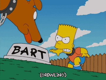 Bart Simpson growls at dog
