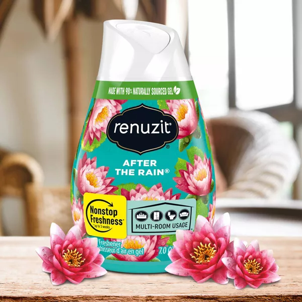 Renuzit After the Rain air freshener gel