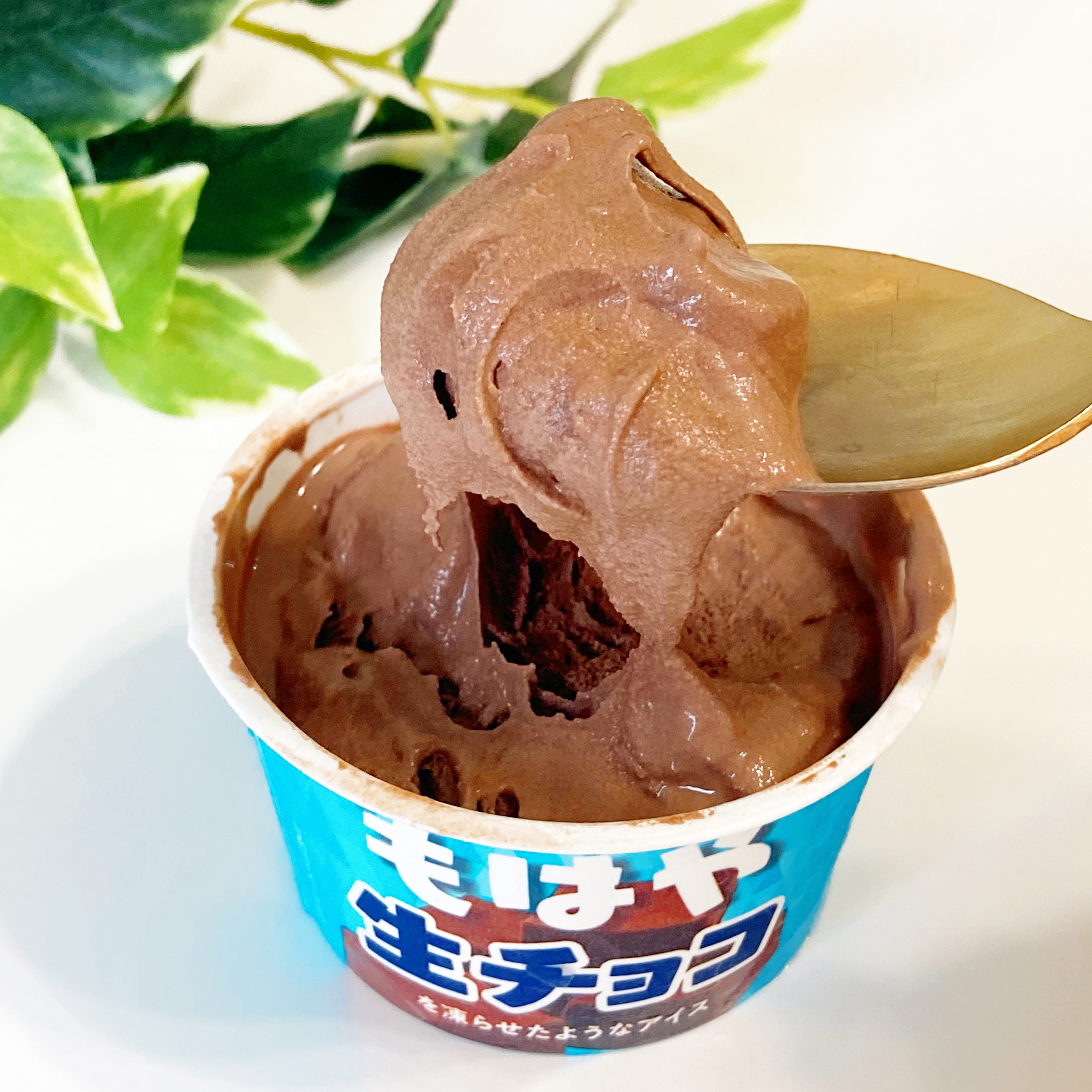 FamilyMart（ファミリーマート）のおすすめアイス「赤城 もはや生チョコを凍らせたようなアイス」