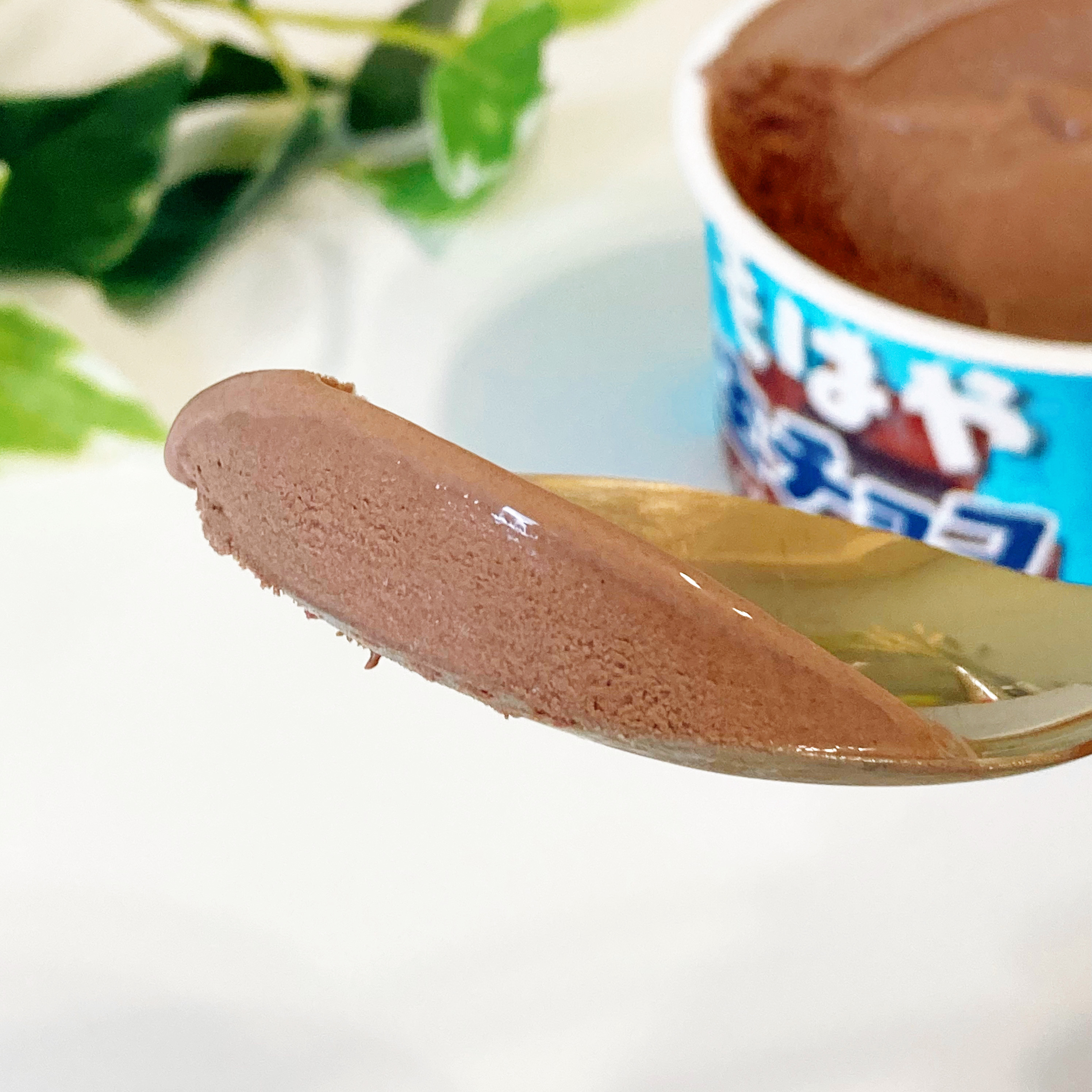 FamilyMart（ファミリーマート）のおすすめアイス「赤城 もはや生チョコを凍らせたようなアイス」