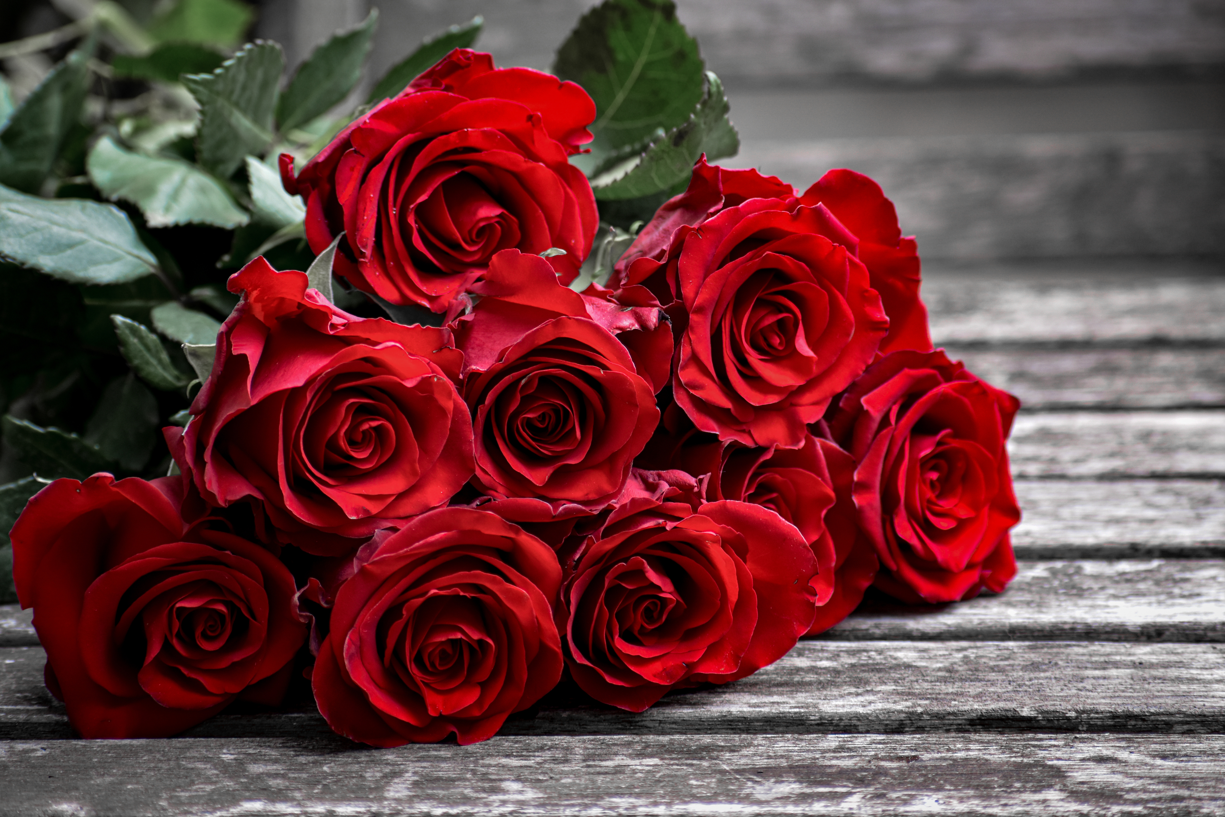 A bouquet of roses lies on wooden planks. The roses have lush petals, and their leaves extend outward. The setting gives a rustic and romantic feel