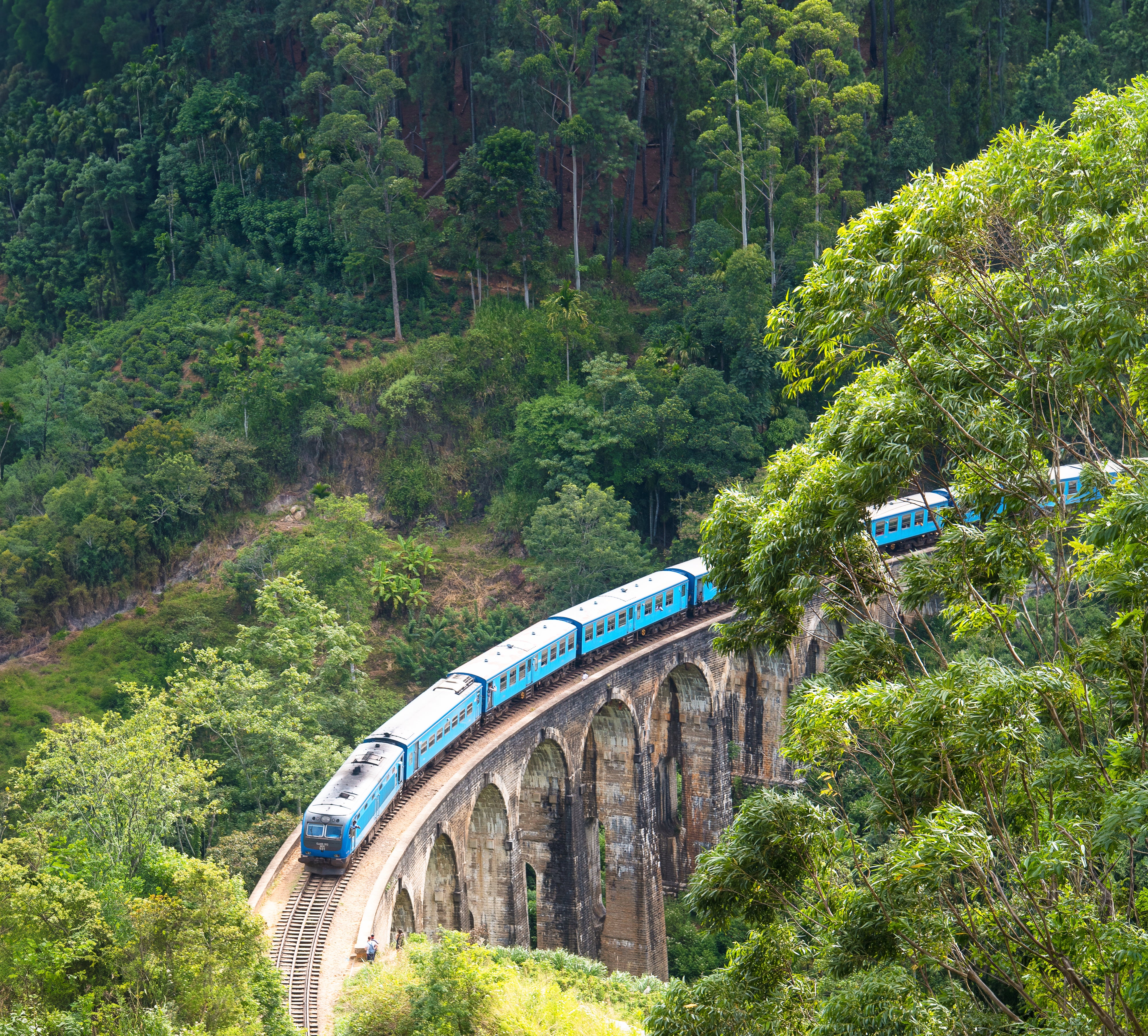 A blue train travels across a tall, curved bridge surrounded by lush green trees and dense forest