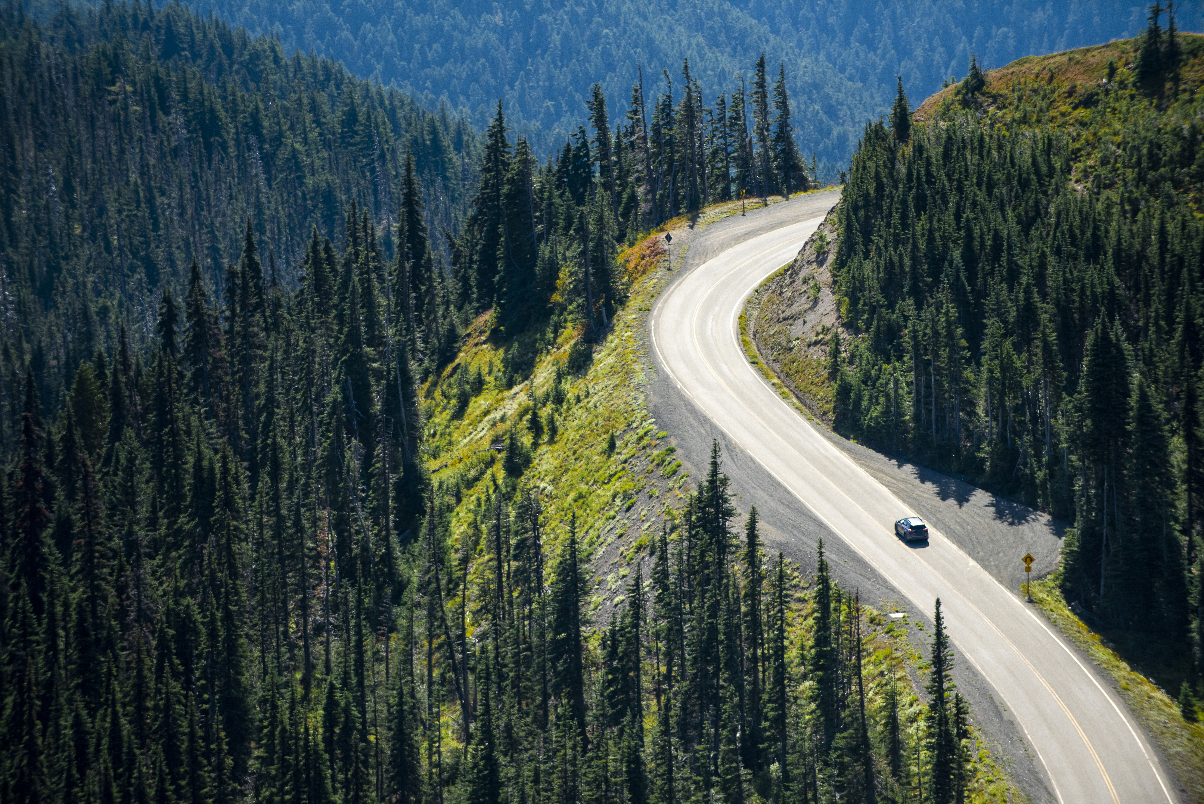 A lone car drives on a curved mountain road surrounded by dense evergreen trees and scenic landscape