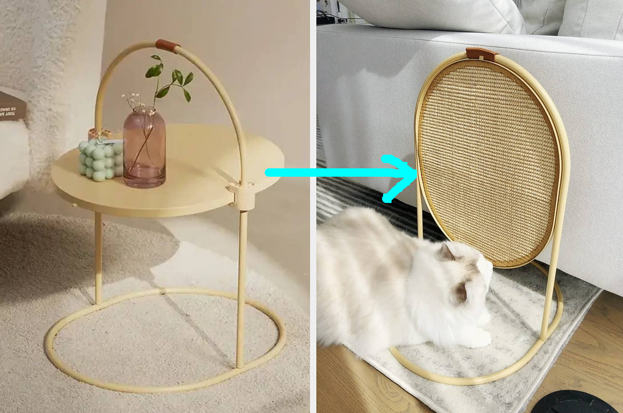 A fluffy cat lays on a rug near a modern, oval-shaped wooden cat scratcher, next to a light-colored sofa