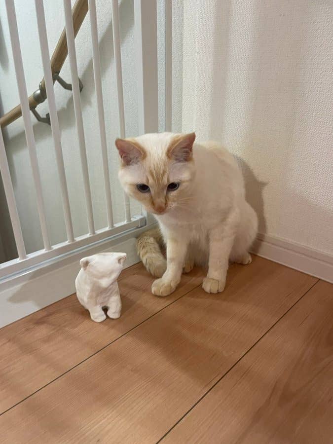 子猫のオブジェと並ぶめろちゃん