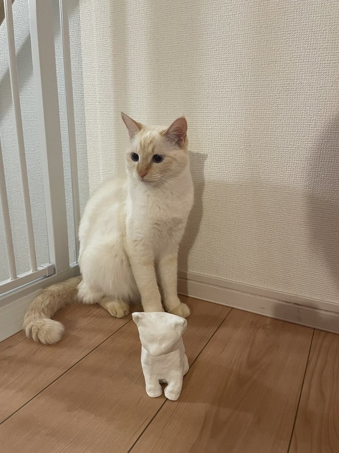 子猫時代に作られた紙粘土のオブジェと並ぶめろちゃん