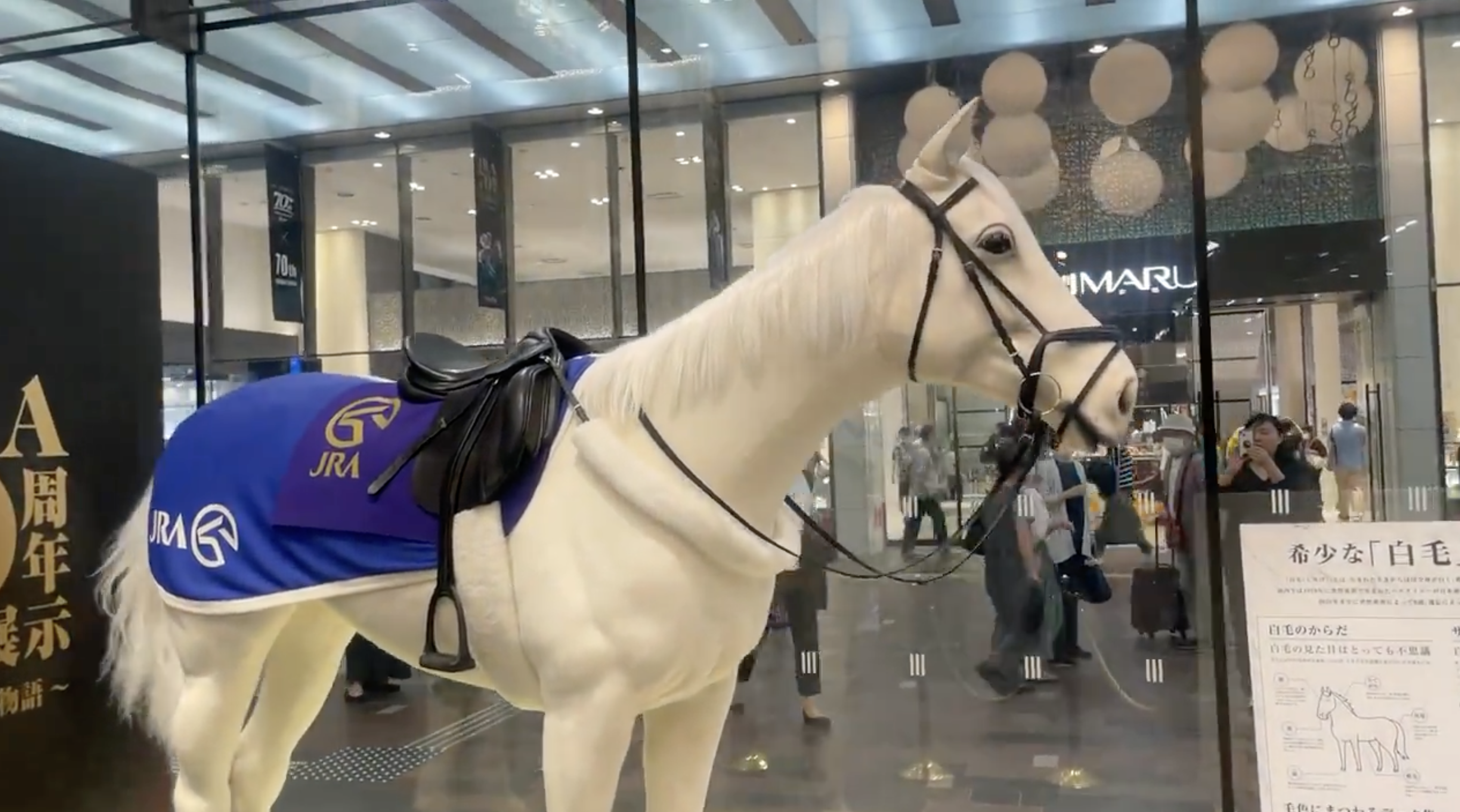 廣瀬佳正さんの投稿より