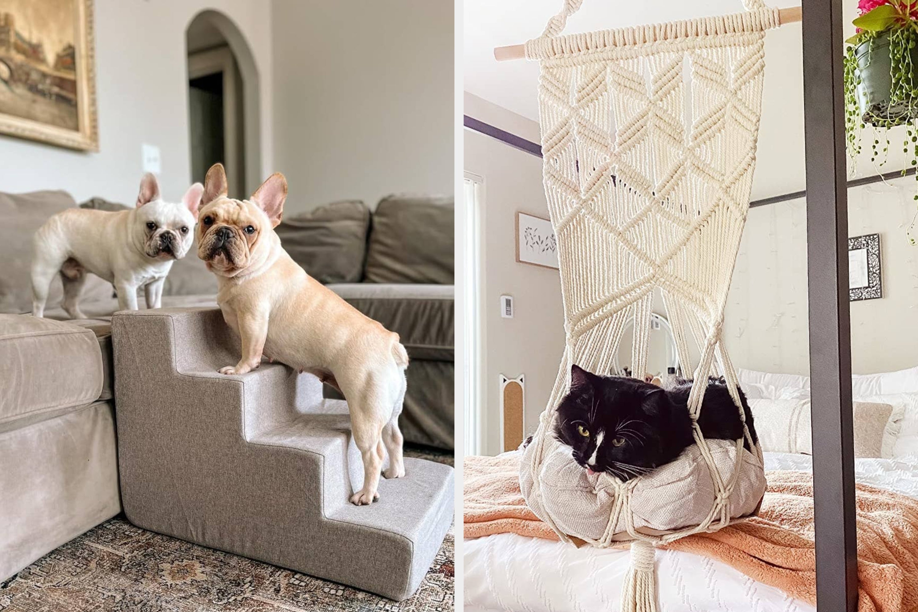 29 Pet Products That'll Actually Complement Your Home Decor