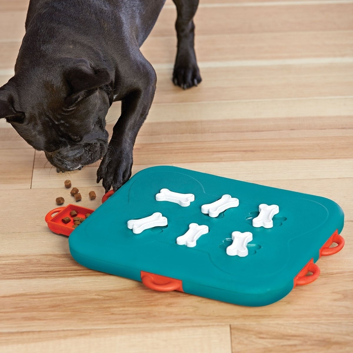 A small dog interacts with a dog puzzle toy on a hardwood floor, with some kibble scattered around