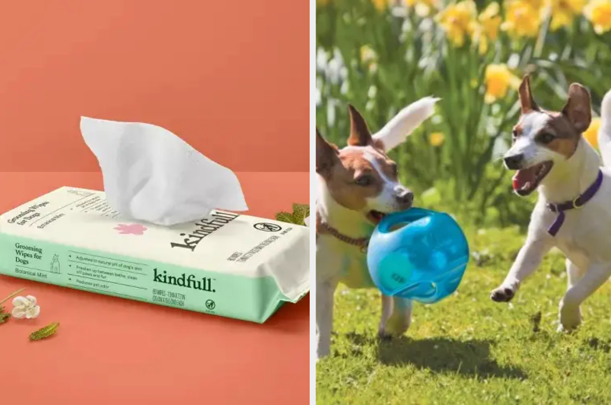 grooming wipes and a dog toy