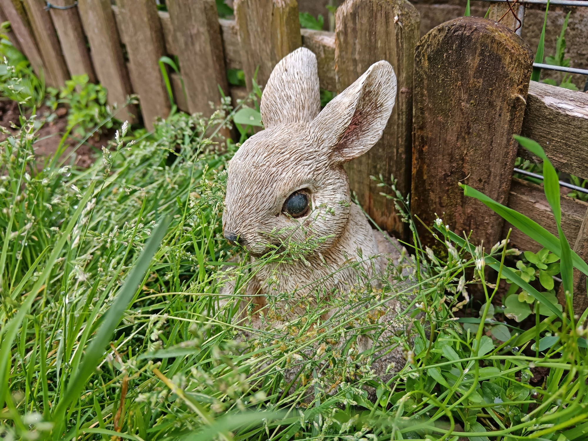 Stone rabbit statue partially hidden by tall grass near a wooden fence in a garden setting