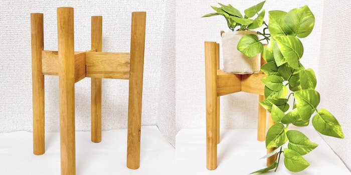 木製の椅子の普通の使い方と、植物をのせたアイデアの使い方