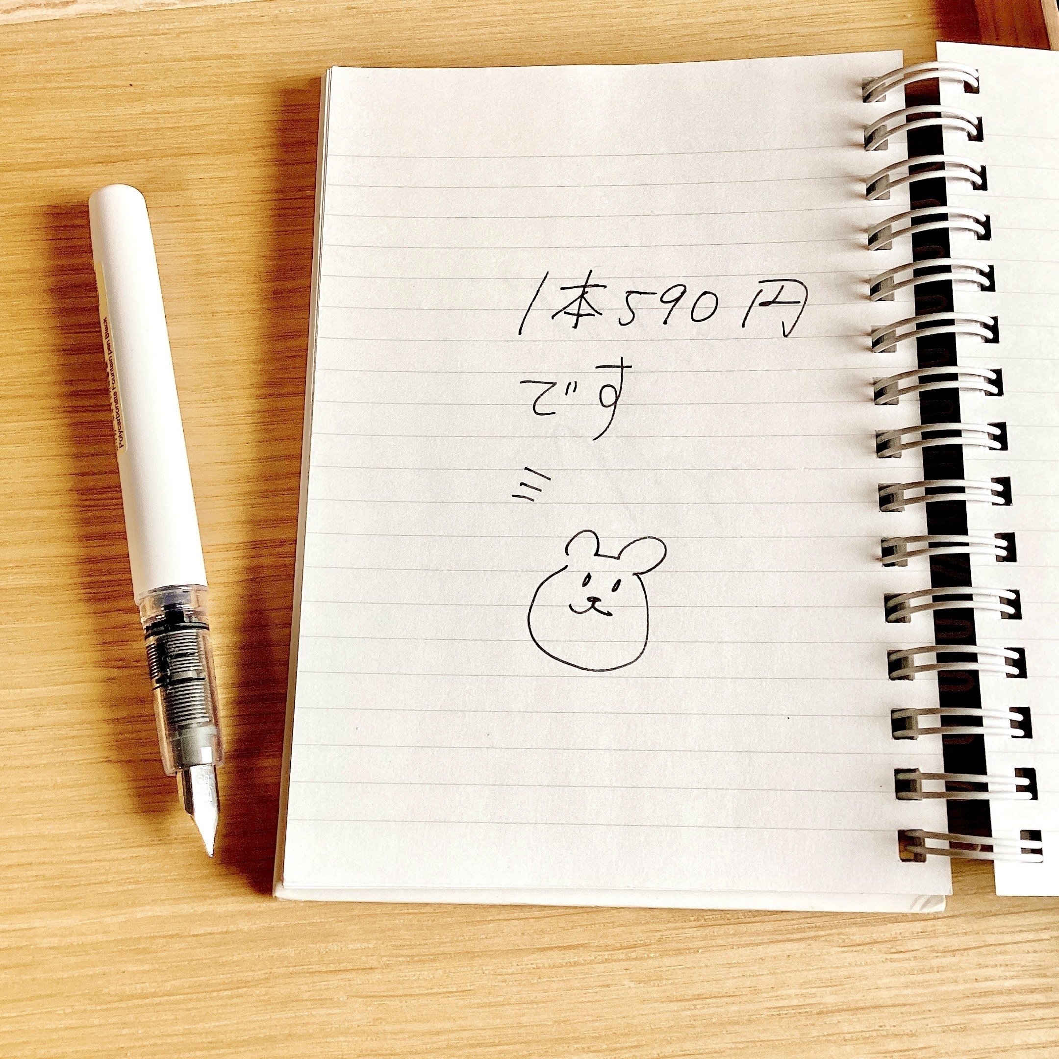 無印良品のおすすめ文具「ポリカーボネート 万年筆」