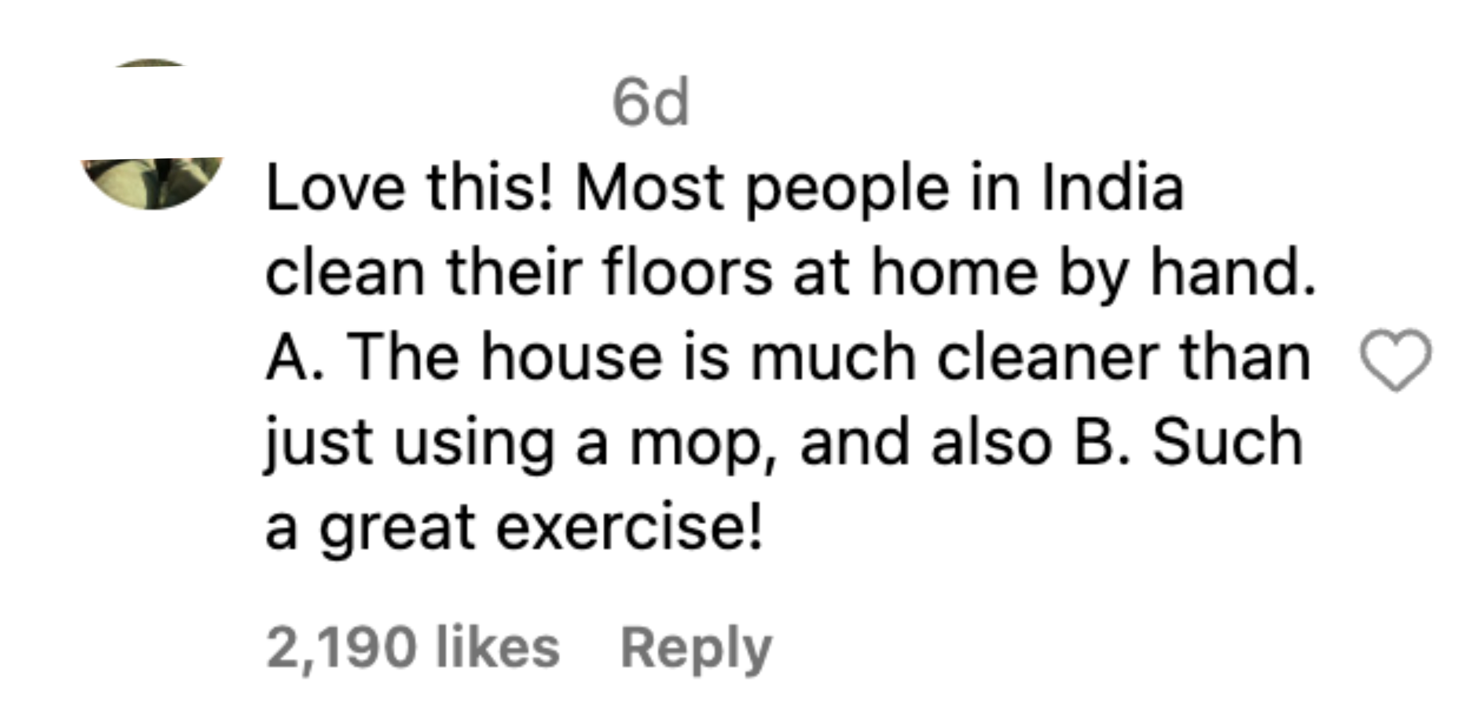 Instagram comment by letsdiscoh: "Love this! Most people in India clean their floors at home by hand. A. The house is much cleaner than just using a mop, and also B. Such a great exercise!" 2,190 likes