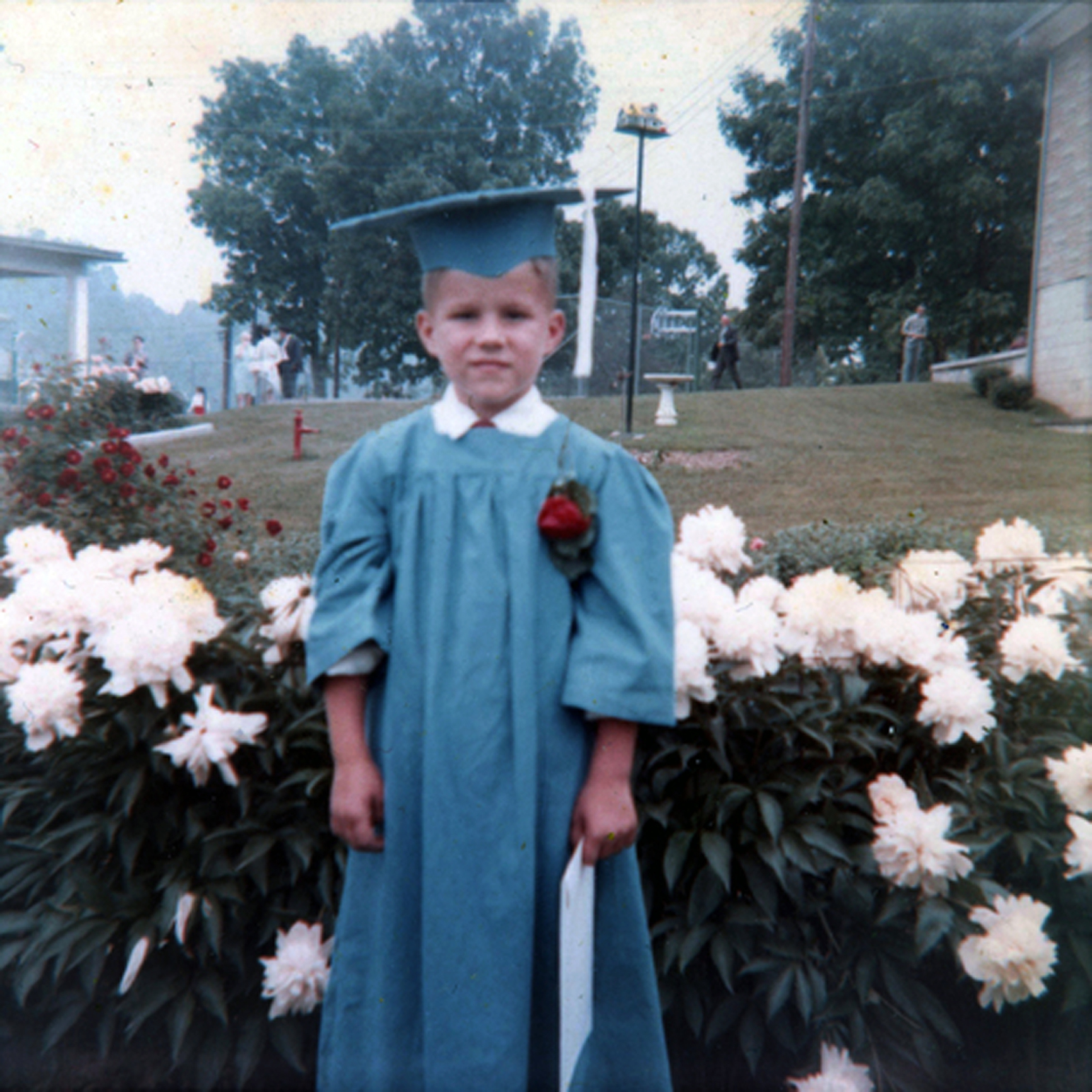 A young boy in a graduation cap and gown stands in front of blooming bushes. He holds a diploma, with a single red rose pinned to his gown
