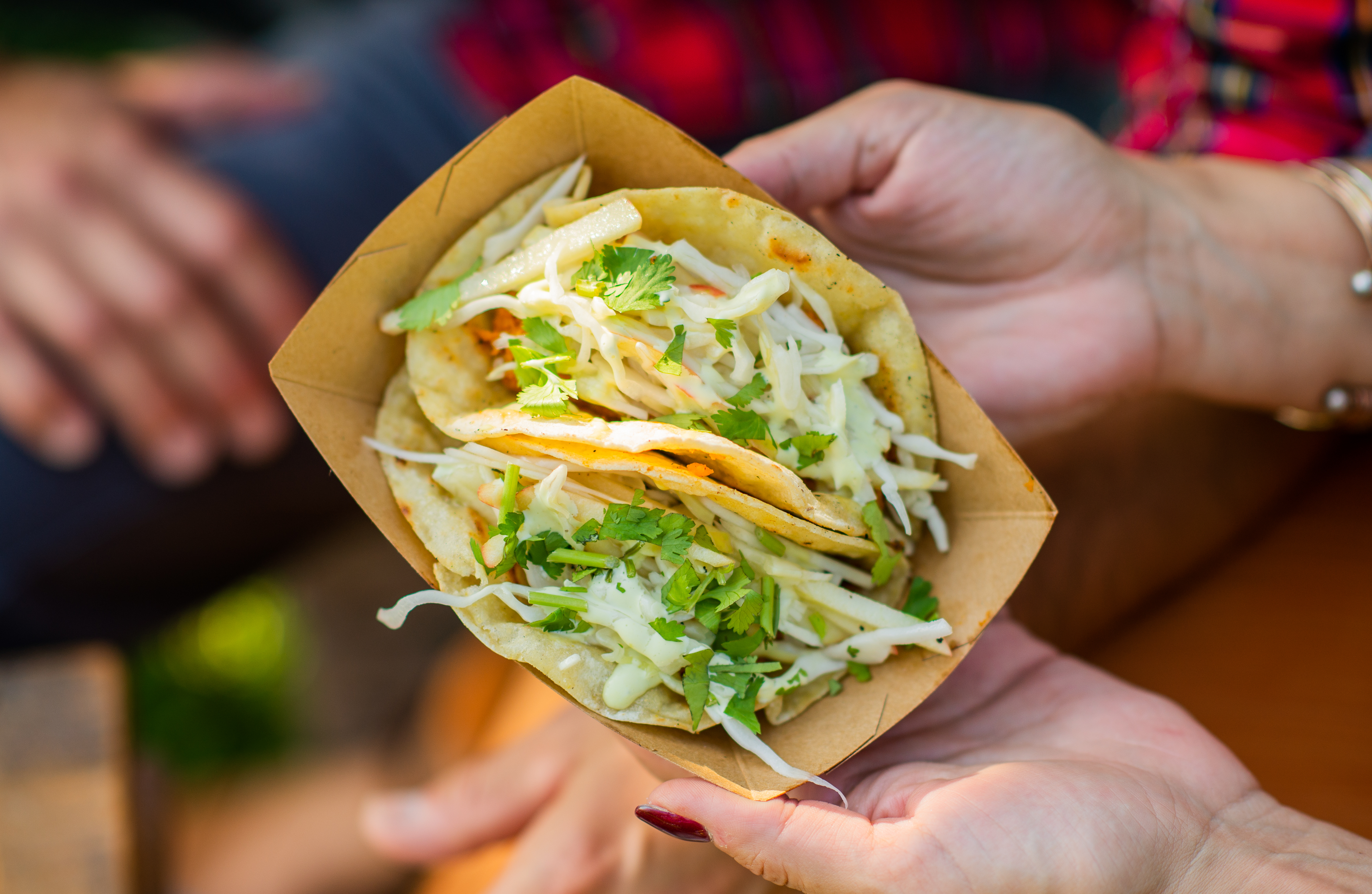 Hands holding a small cardboard tray with two soft tacos filled with shredded cabbage, cilantro, and a light sauce