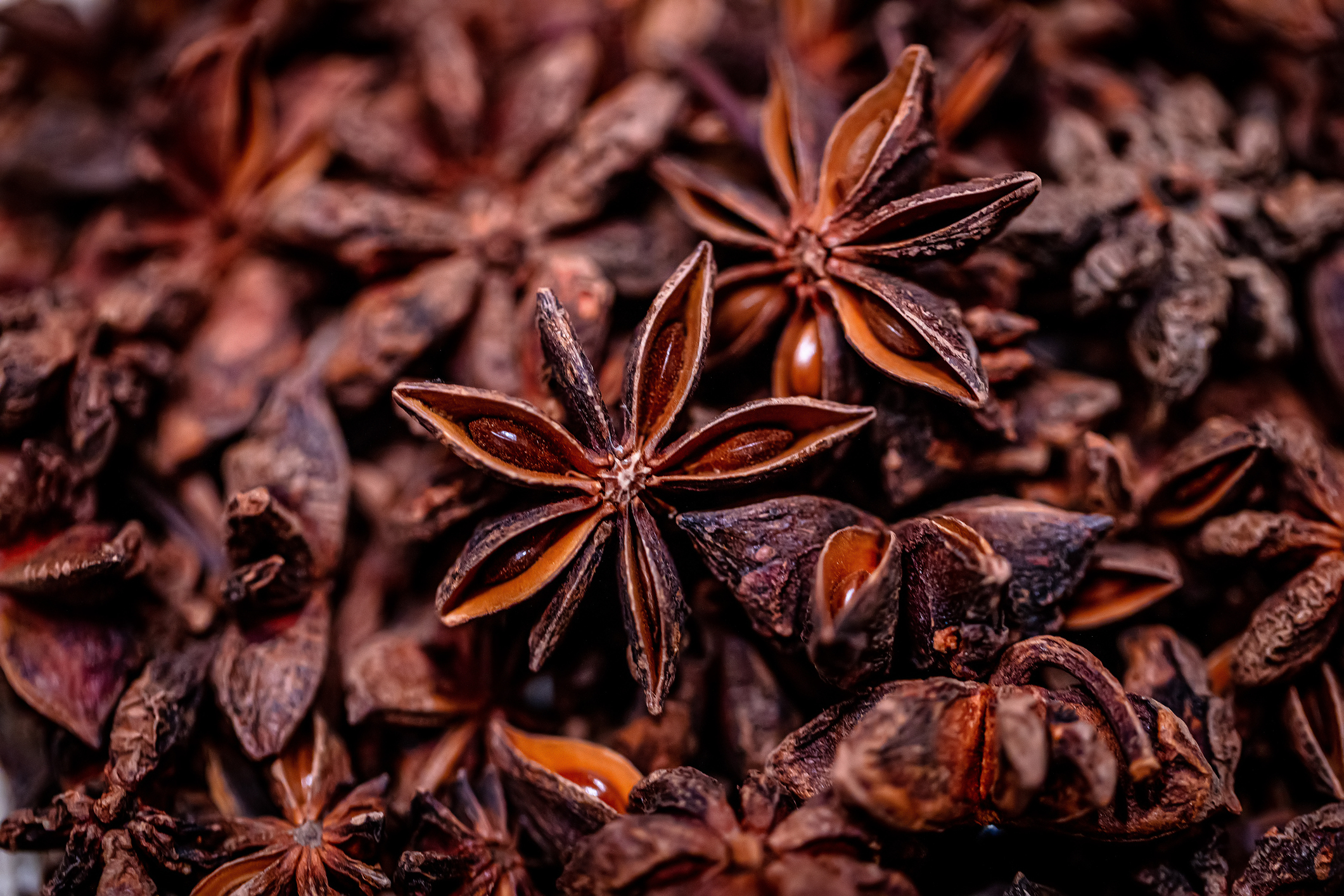 Close-up of star anise pods arranged together