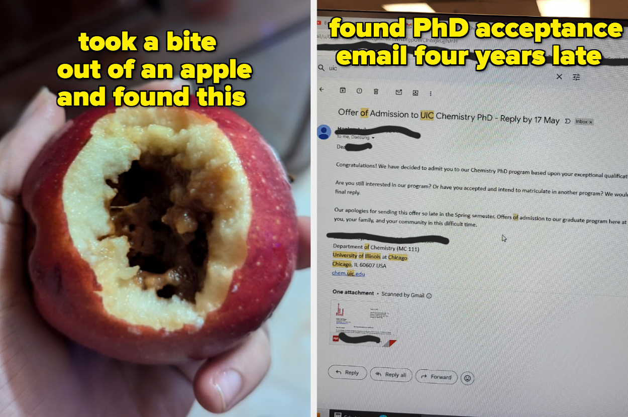 Person holding a partially eaten apple showing a rotted core. An email reveals a four-year-late PhD acceptance to UC Chemistry