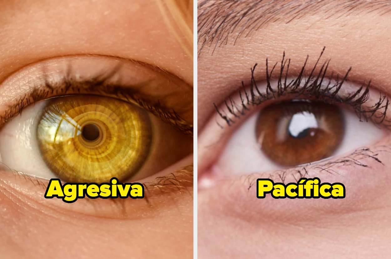 Primer plano de dos ojos. El ojo izquierdo está etiquetado como "Agresiva" y el ojo derecho como "Pacífica"
