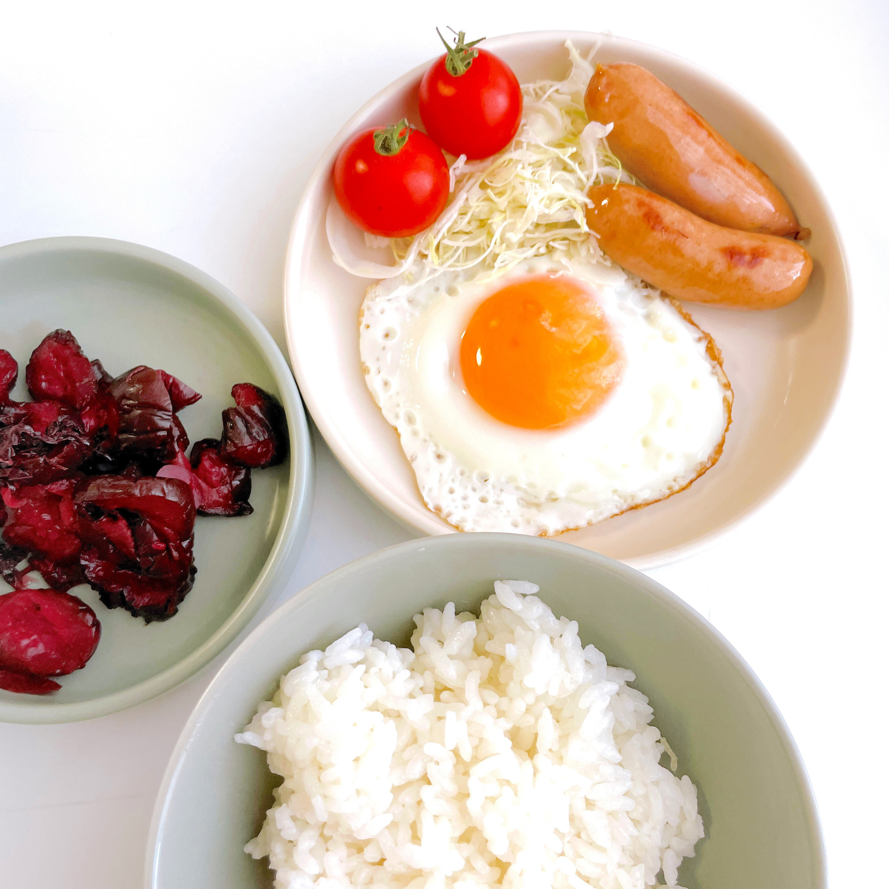 セリアのおすすめ雑貨「プレートM フラットボトム」「プレートL フラットボトム」