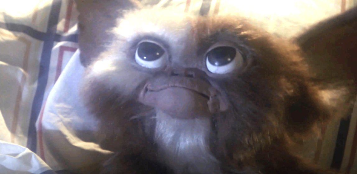 A close-up of Gizmo, the main character from the movie "Gremlins." Gizmo is a furry creature with large eyes and a slightly smiling expression