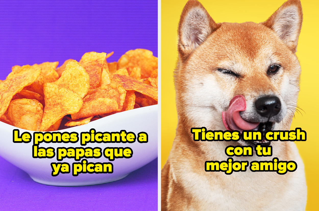 Imagen dividida con dos cuadros. Izquierda: tazón de papas con texto "Le pones picante a las papas que ya pican". Derecha: perro guiñando un ojo con texto "Tienes un crush con tu mejor amigo"