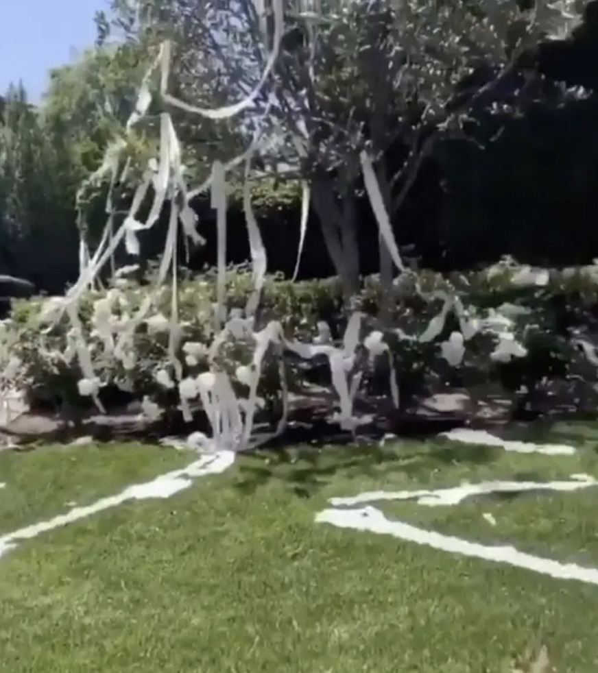 A yard with trees and bushes covered in toilet paper