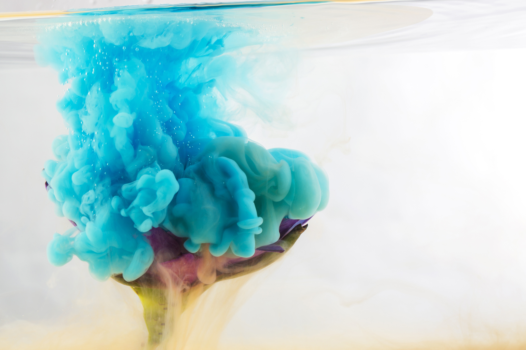 A flower underwater is partially visible as vibrant blue dye clouds around it, creating an artistic and ethereal effect