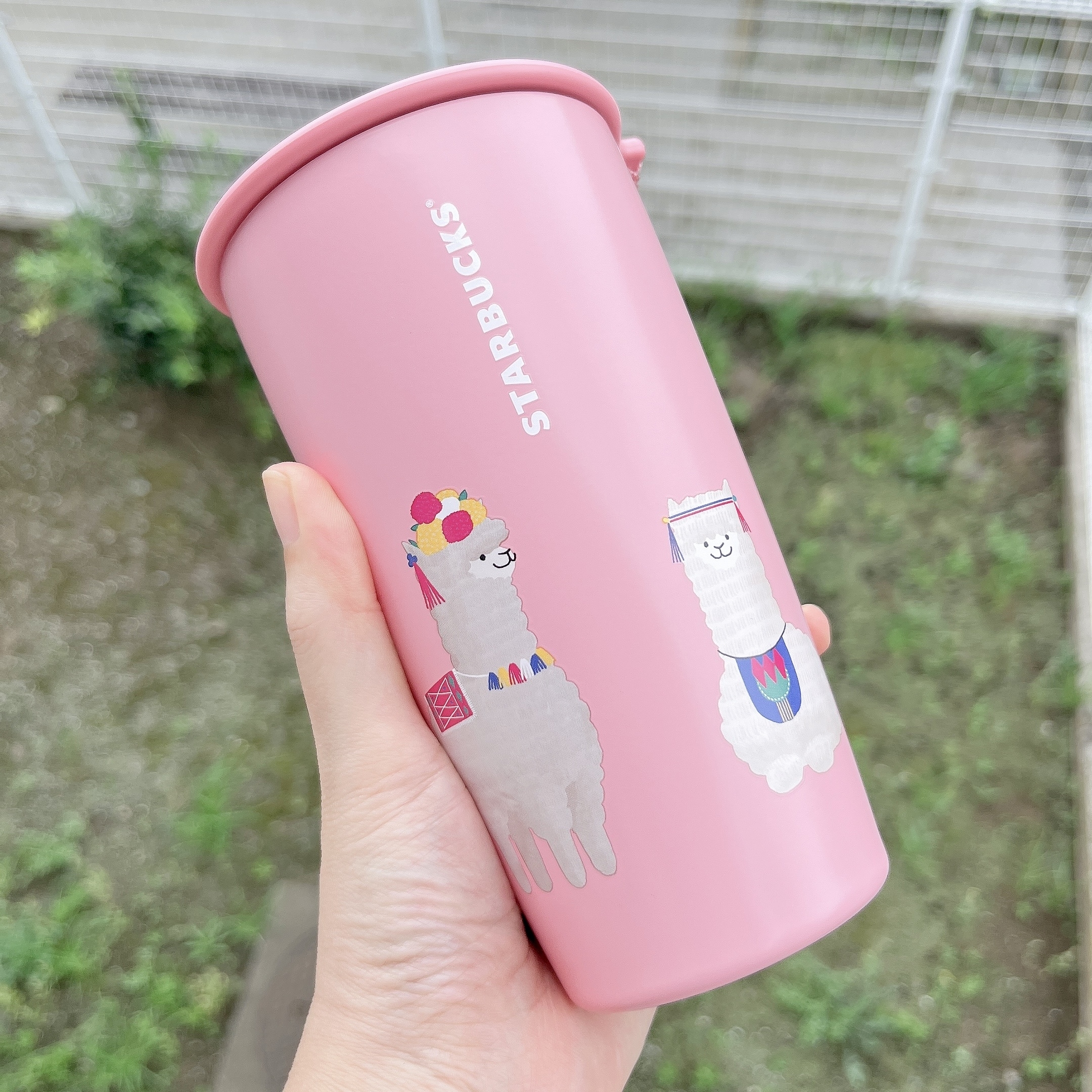 Starbucks Coffee(スターバックス コーヒー)のおすすめアイテム「カップシェイプステンレスボトルアルパカ355ml」