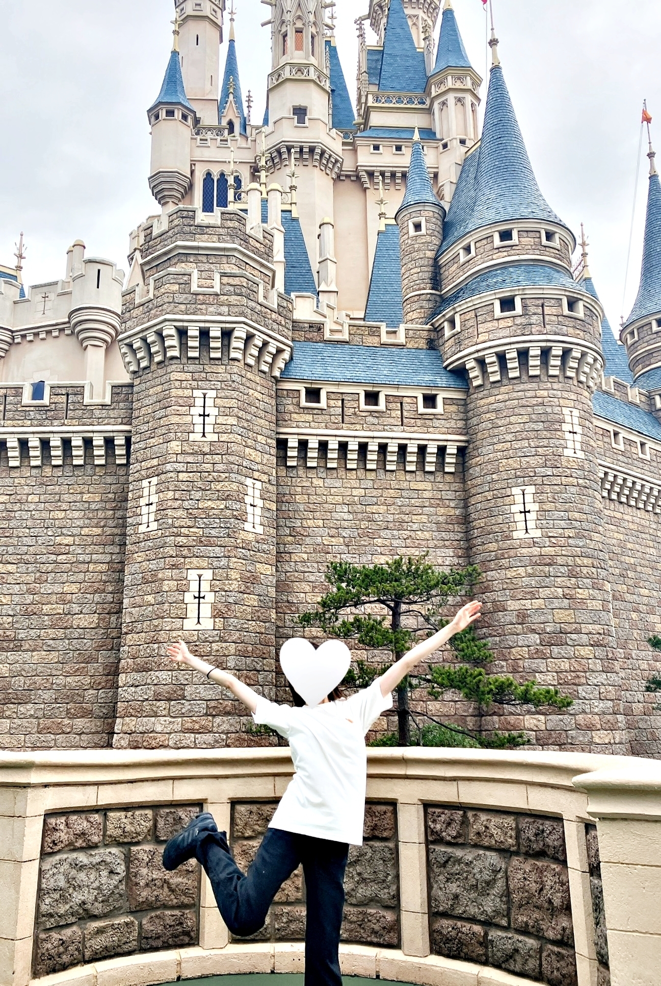 ディズニーランドのおすすめTシャツ「Tシャツ ユニセックス ミッキー」