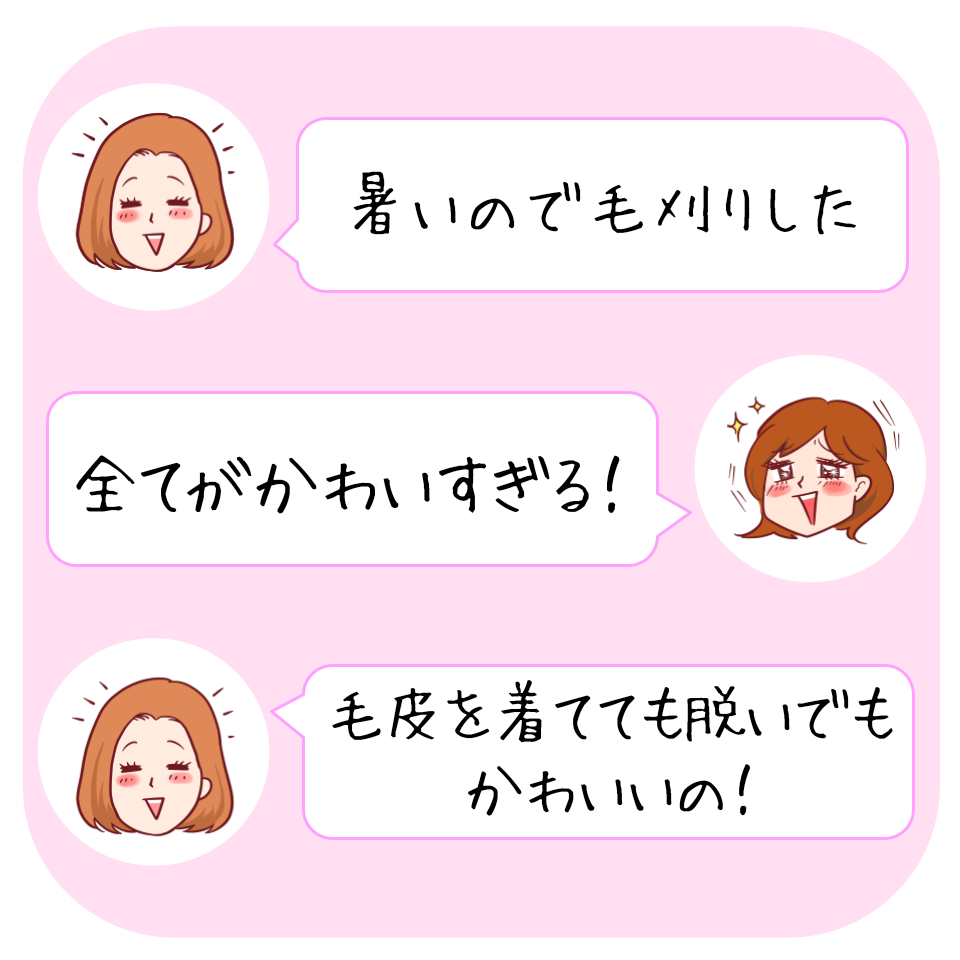 フェリシモのおすすめ雑貨「YOU+MORE！ 羊の毛刈りがいつでもどこでも楽しめる 羊の毛刈りぬいぐるみ」