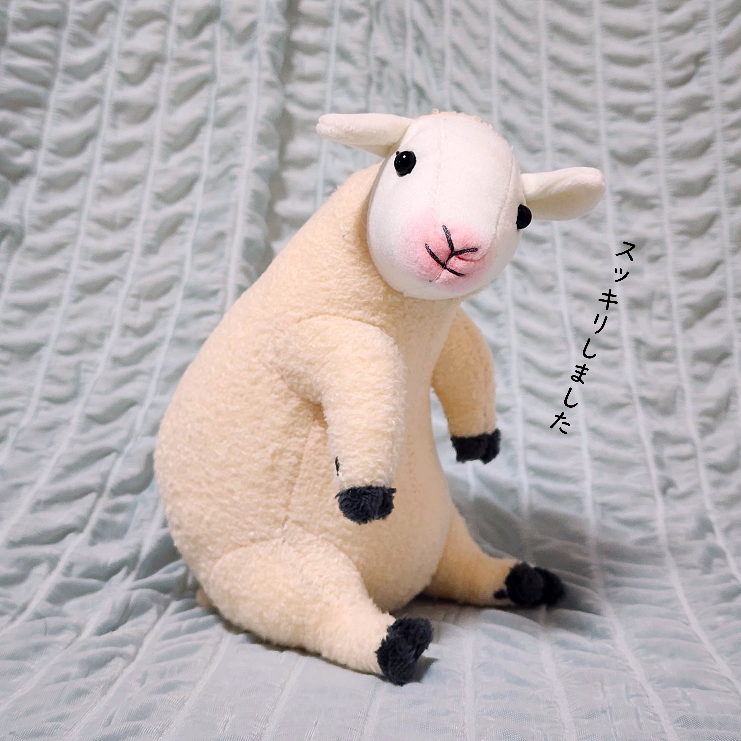 フェリシモのおすすめ雑貨「YOU+MORE! 羊の毛刈りがいつでもどこでも楽しめる 羊の毛刈りぬいぐるみ」