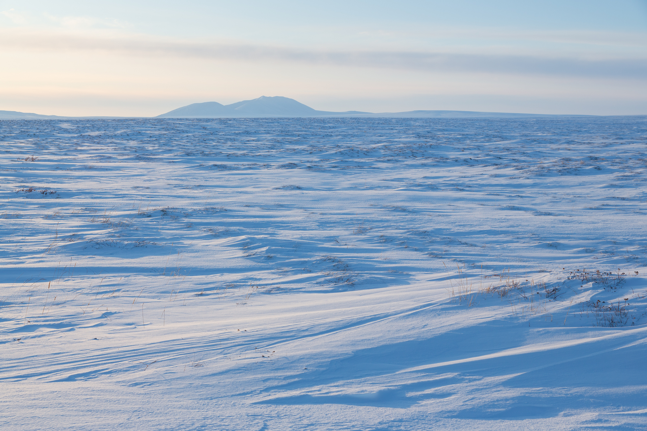A vast, snowy landscape extends towards distant hills under a clear sky, giving a serene and peaceful feeling