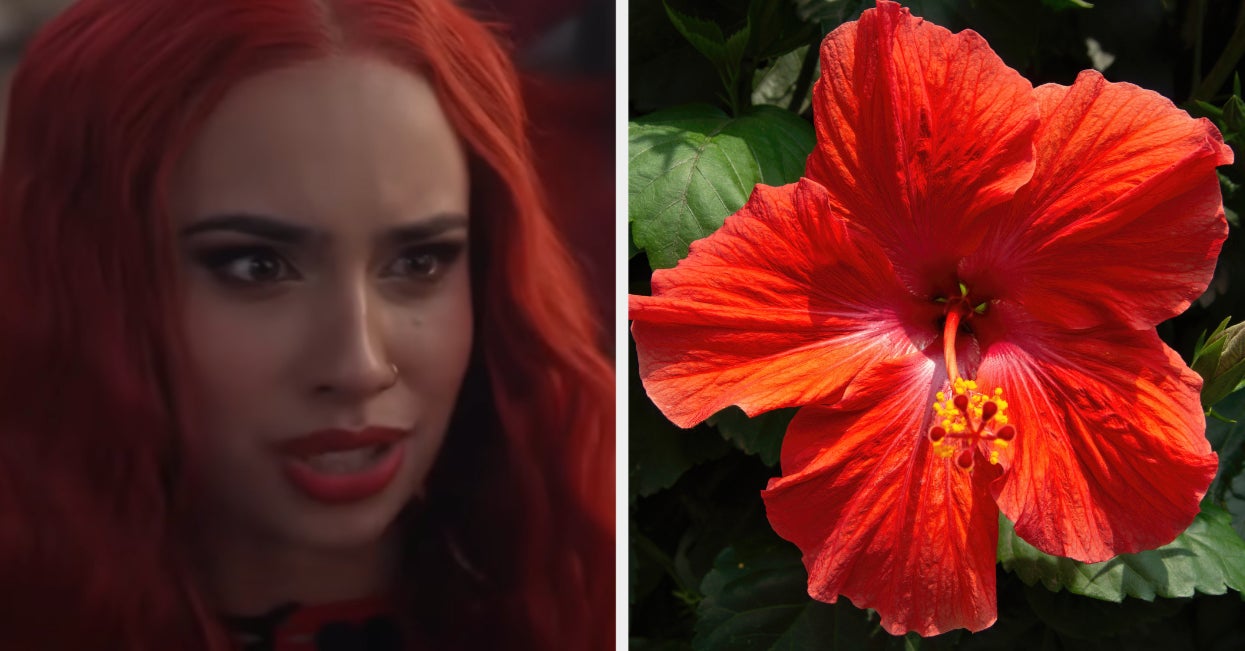 Which "Descendants: The Rise Of Red" Character Are You?