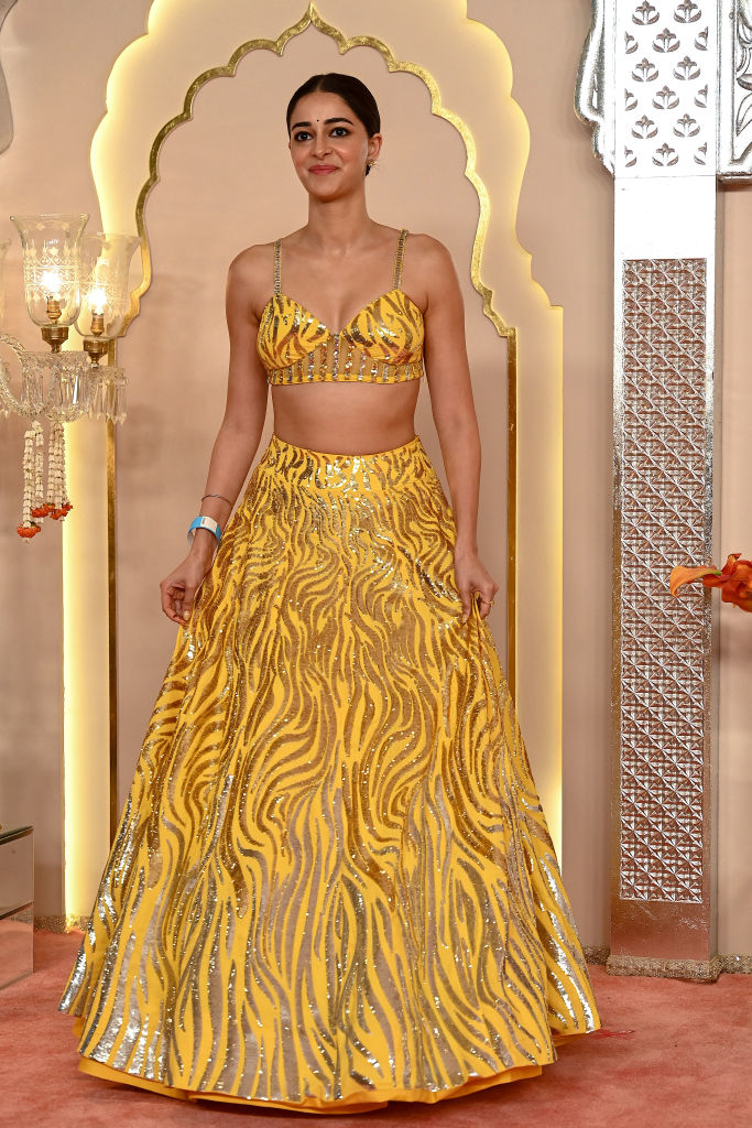 Ananya Panday poses on the red carpet in a shimmering skirt with a matching bralette top
