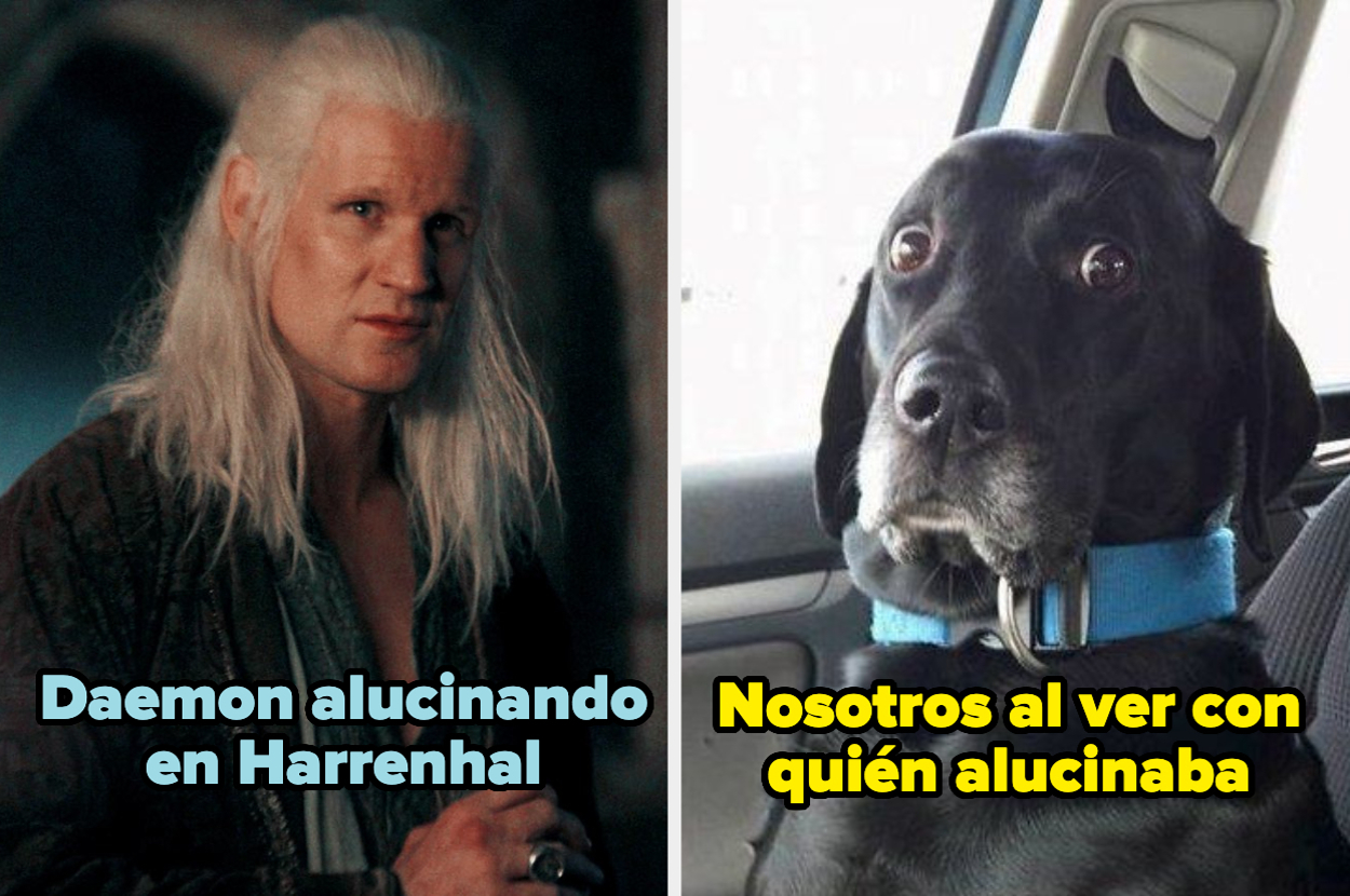A la izquierda, Daemon alucinando en Harrenhal; a la derecha, un perro con expresión de sorpresa. Texto: "Nosotros al ver con quién alucinaba"
