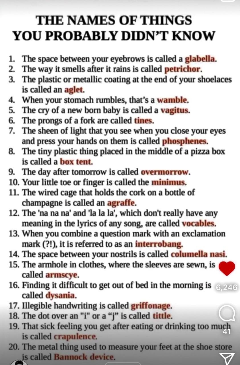 A list titled "The Names of Things You Probably Didn't Know," includes terms like glabella, aglet, and minimus with descriptions for each