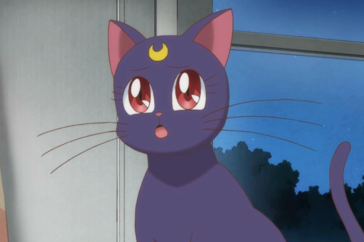 Luna, a character from the anime Sailor Moon, is depicted as a purple cat with a yellow crescent moon on her forehead, wide eyes, and an open mouth, looking surprised